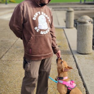 Don't Happy Be Worry Pullover Hoodie in Faded Root